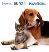 Seguro Plan Global Para Perros